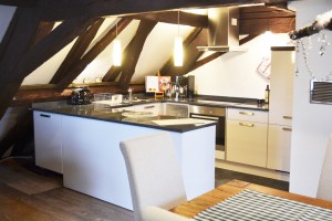 Neue modern ausgestattete Küche